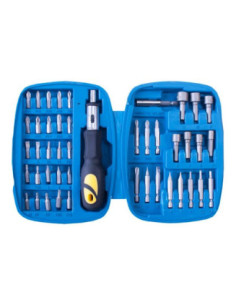 RATCHET DRIVER + 45 PIECE BITS / SOCKET SET